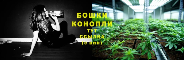 ECSTASY Заводоуковск