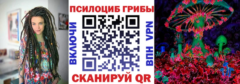 купить  цена  Свирск  Псилоцибиновые грибы прущие грибы 